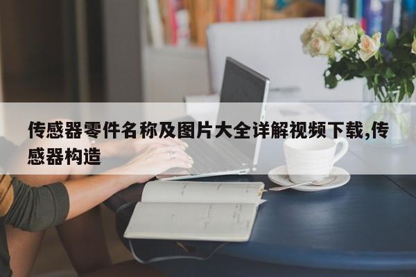 传感器零件名称及图片大全详解视频下载,传感器构造