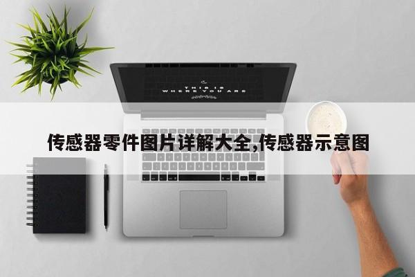 传感器零件图片详解大全,传感器示意图