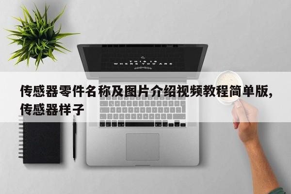传感器零件名称及图片介绍视频教程简单版,传感器样子