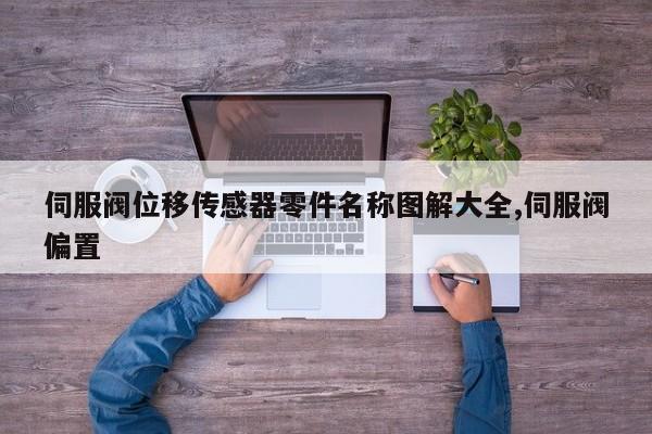 伺服阀位移传感器零件名称图解大全,伺服阀偏置